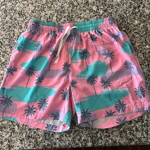 Chubbies - 5.5” inseam - Ultimate Swimmers
